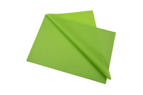 SADIPAL PAPEL DE SEDA BOLSA 25+1 HOJAS FSC 50X75CM VERDE