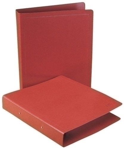 CARPETA SARO CART.Fº 2 AN.40