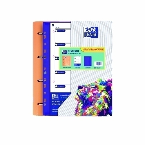 CARPEBLOC OXFORD A4 4AN.100 Hj COL.(5)