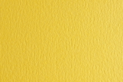 SADIPAL CARTULINA LR 220 TEXTURIZADA 50X70CM CEDRO - Pack de 20 unidades