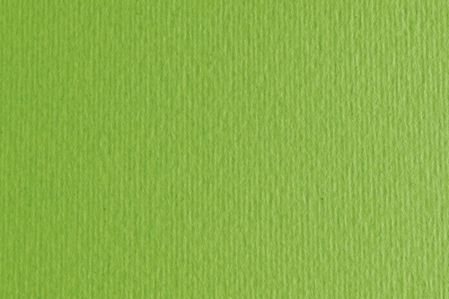 CARTULINA 50x70 FABRI. 220g LR VERDE P/2 - Pack de 20 unidades