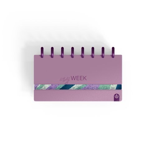 AG.CARCHIVO INGENIOX MY WEEK BURDEOS