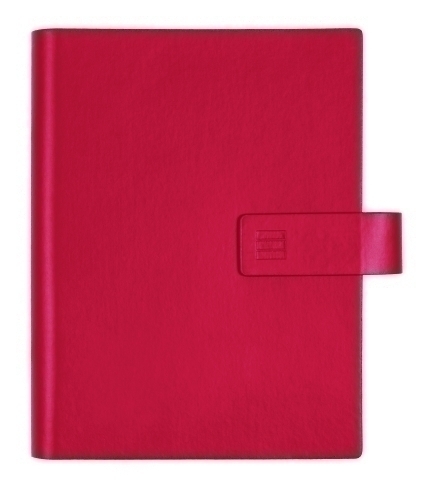 AG.F.CHIP SMART 500 S/V AP. ROJO