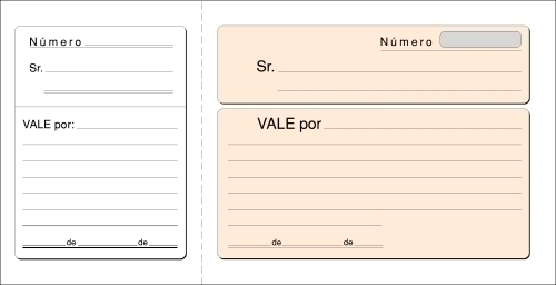 TALONARIO VALES LOAN