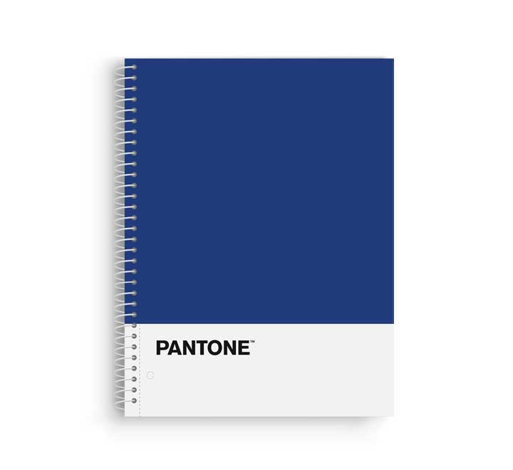 BLOCK ESCOL.PANTONE A4 BASIC 80h 5x5 AZ