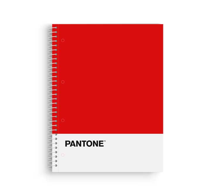 BLOCK ESCOL.PANTONE A4 BASIC 80h 5x5 RJ
