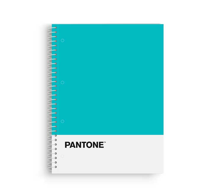 BLOCK ESCOL.PANTONE A4 BASIC 80h 5x5 TQ