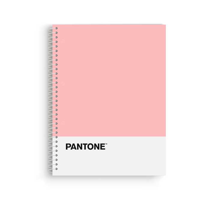 BLOCK ESCOL.PANTONE A4 BASIC 80h 5x5 RS