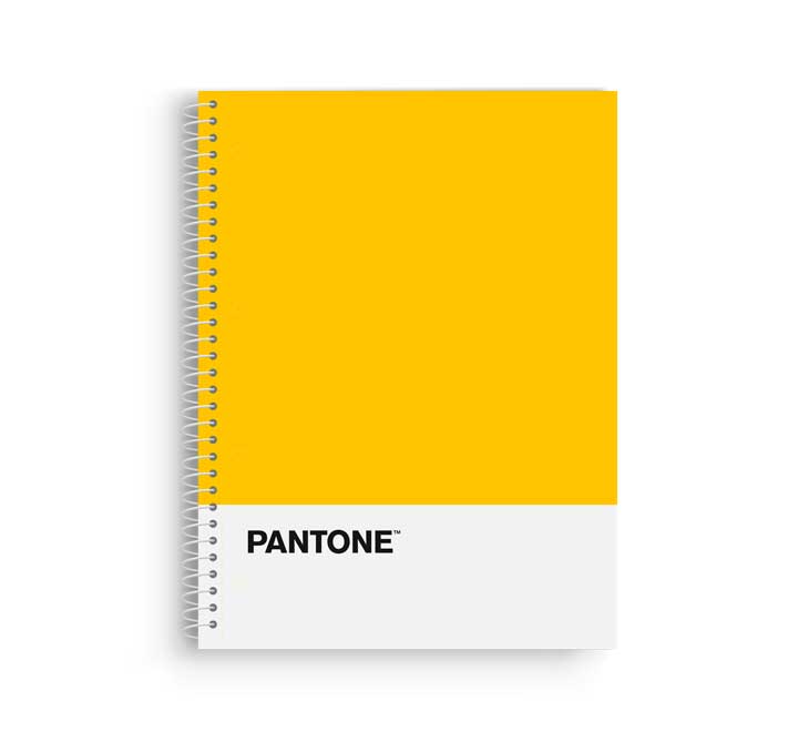 BLOCK ESCOL.PANTONE A4 BASIC 80h 5x5 AM