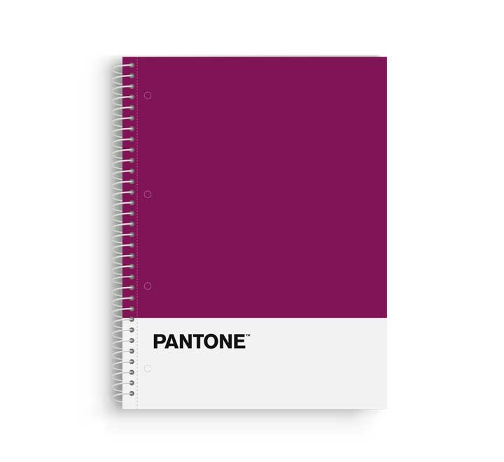 BLOCK ESCOL.PANTONE A4 BASIC 80h 5x5 VL