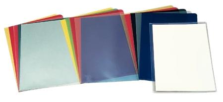 C. 100 DOSSIER UÑERO ESSELTE PVC TRANs A4 180MIC