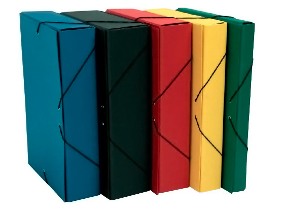 207FNE carpeta Caja de cartón Colores surtidos