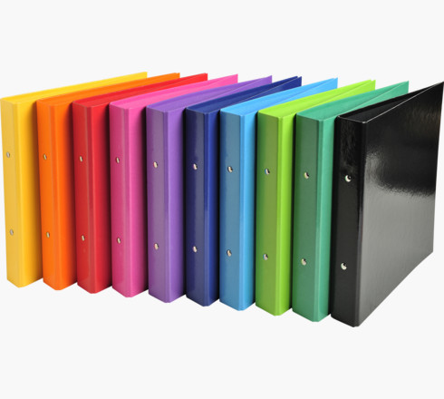 51029E carpeta de cartón A4 Multicolor