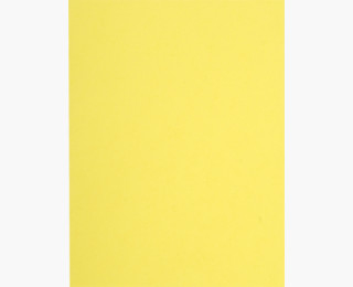 150005E carpeta Caja de cartón A4