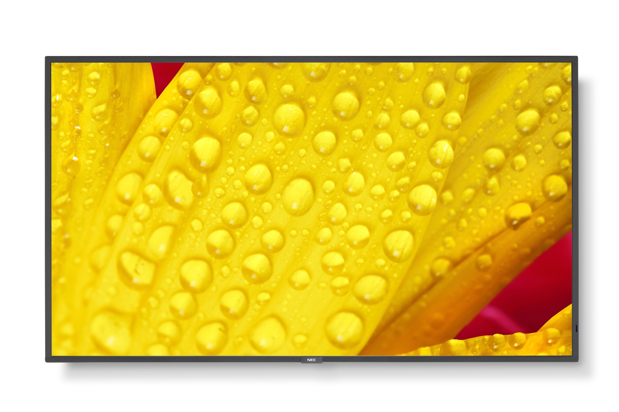 MultiSync M551-2 Diseño de quiosco 127 cm (50") LED 4K Ultra HD Negro Procesador incorporado
