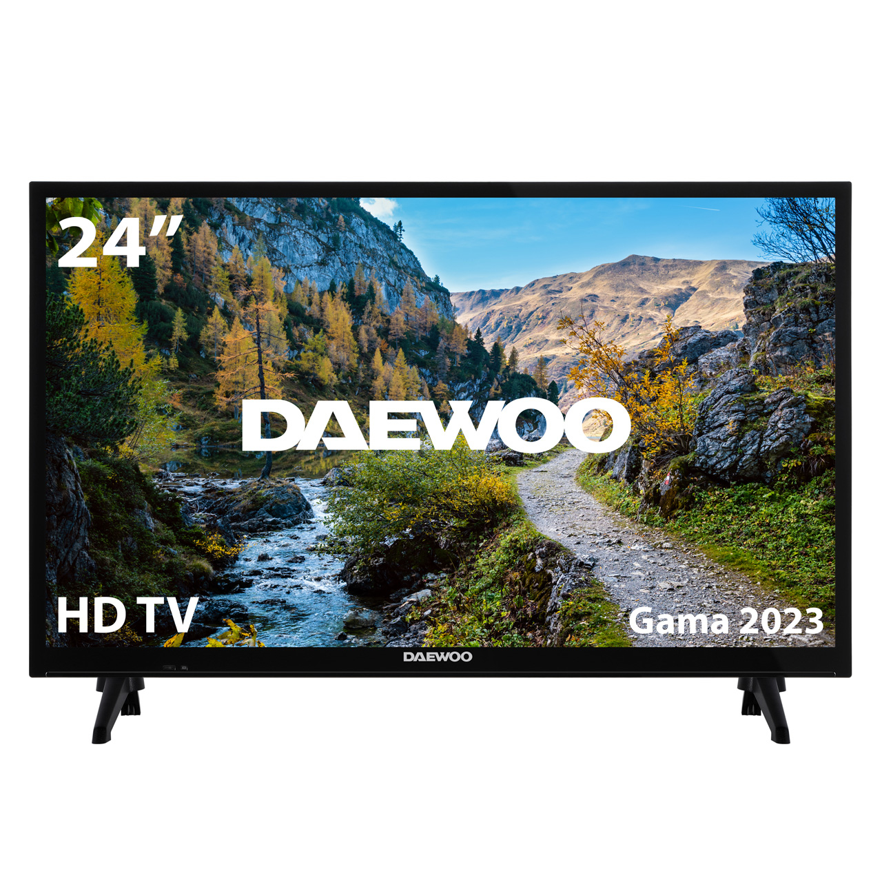 24DE04HL1 Televisor 61 cm (24") HD Negro