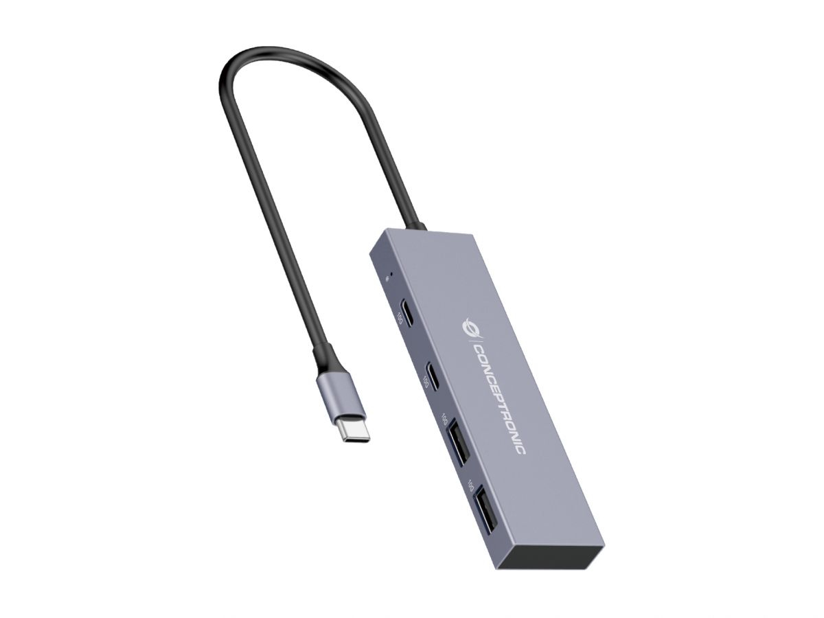 HUBBIES13G hub de interfaz USB 3.2 Gen 2 (3.1 Gen 2) Type-C 10000 Mbit/s Gris