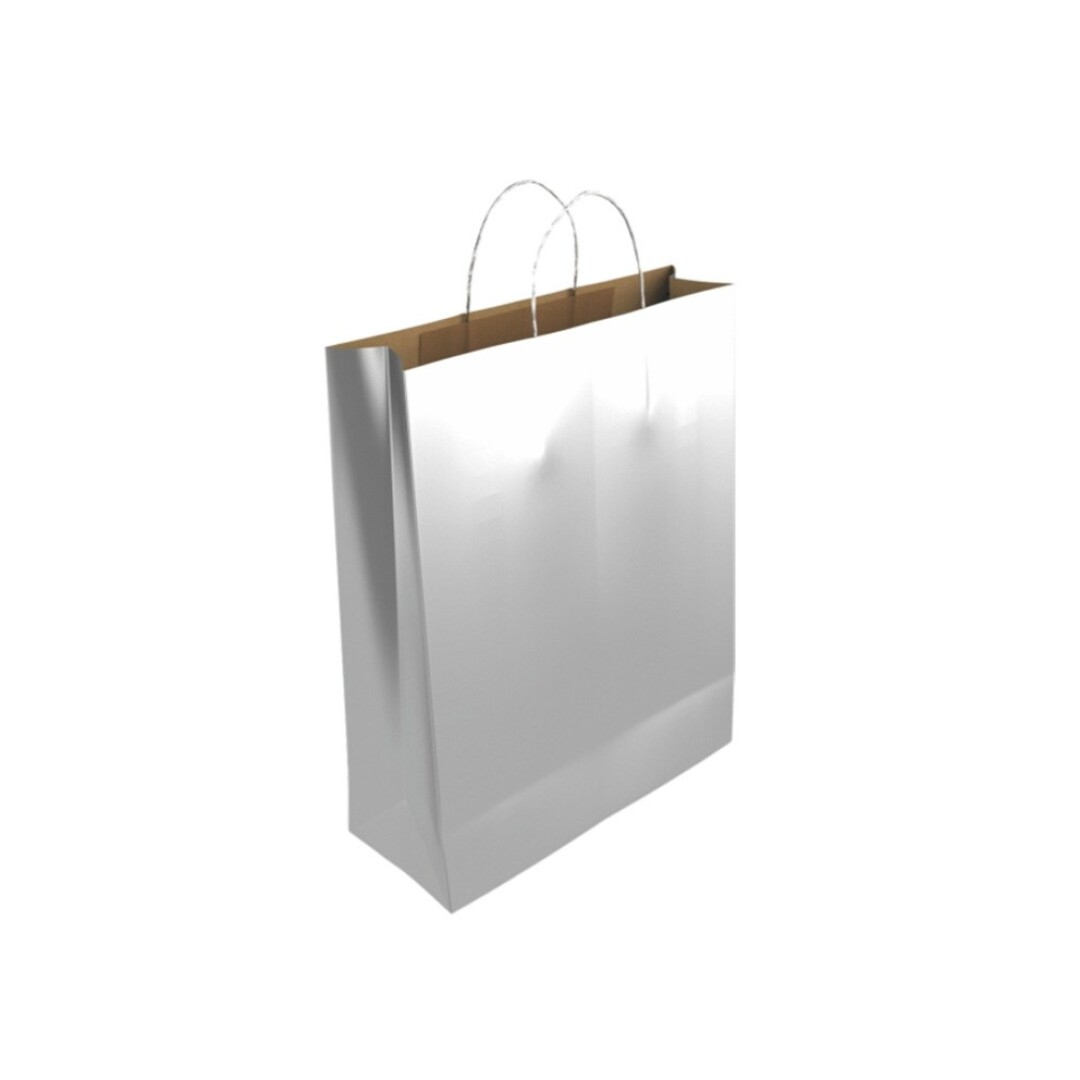 329851 bolsa de papel Plata