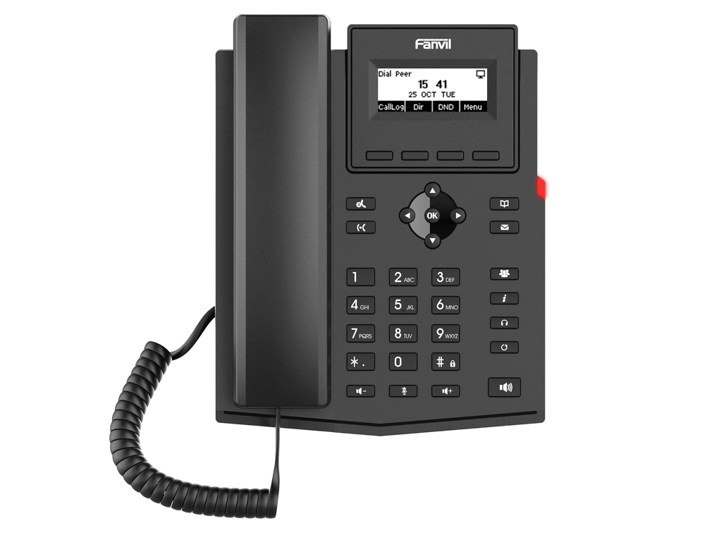 X301P teléfono IP Negro 2 líneas LCD