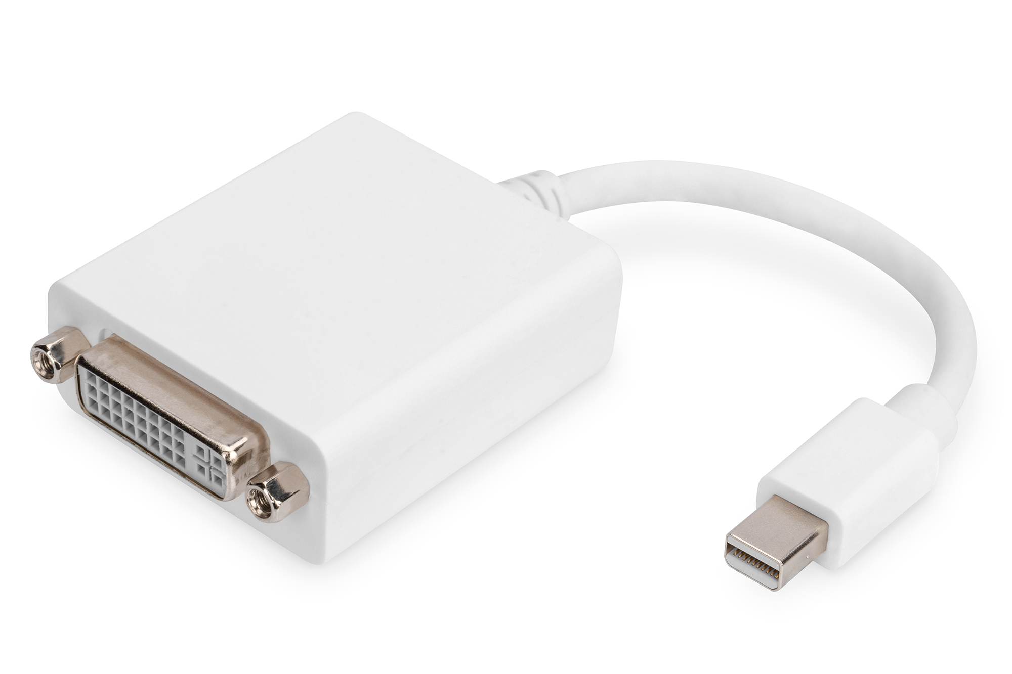Cable adaptador DisplayPort