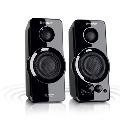 Big Bass 95 De 2 vías Negro Alámbrico 20 W