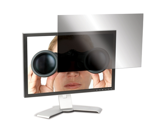 Privacy Screen 24 W (16:10)