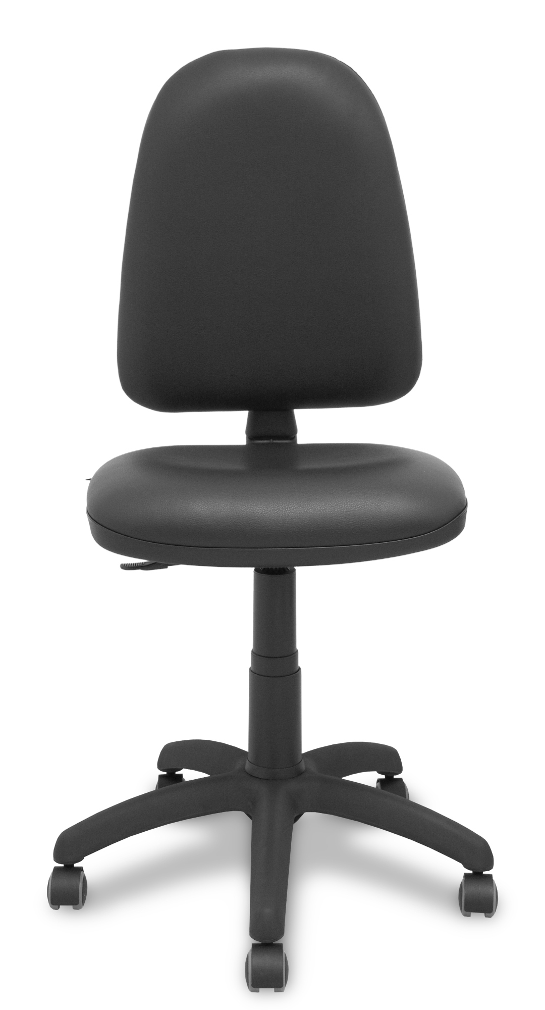 Ayna Asiento acolchado Respaldo acolchado