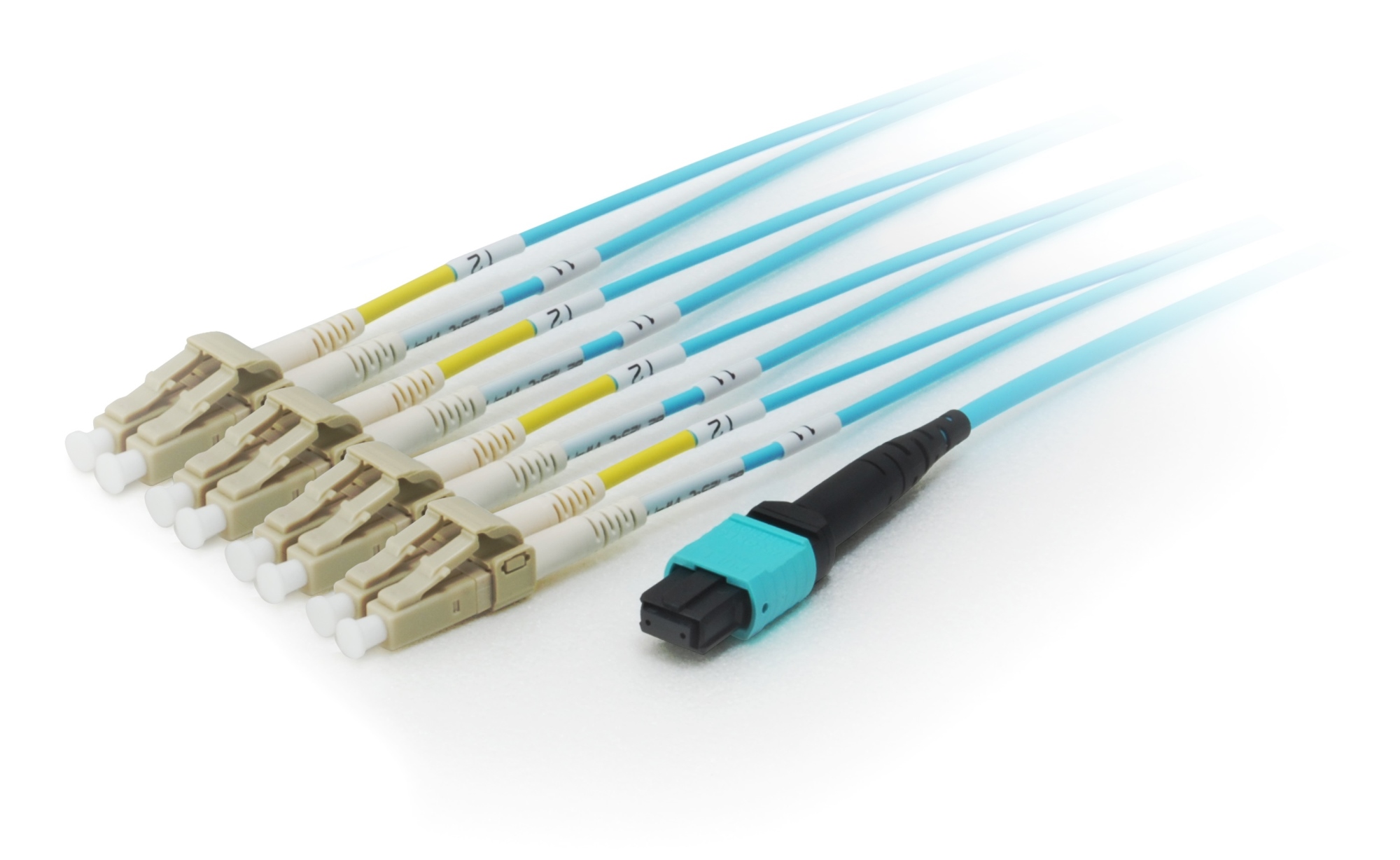 25556307 Cable de fibra óptica e InfiniBand 3 m MTP 4x LC Cian