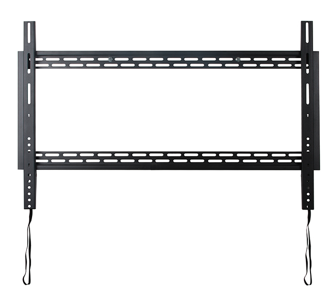 BT9901 165,1 cm (65") Negro