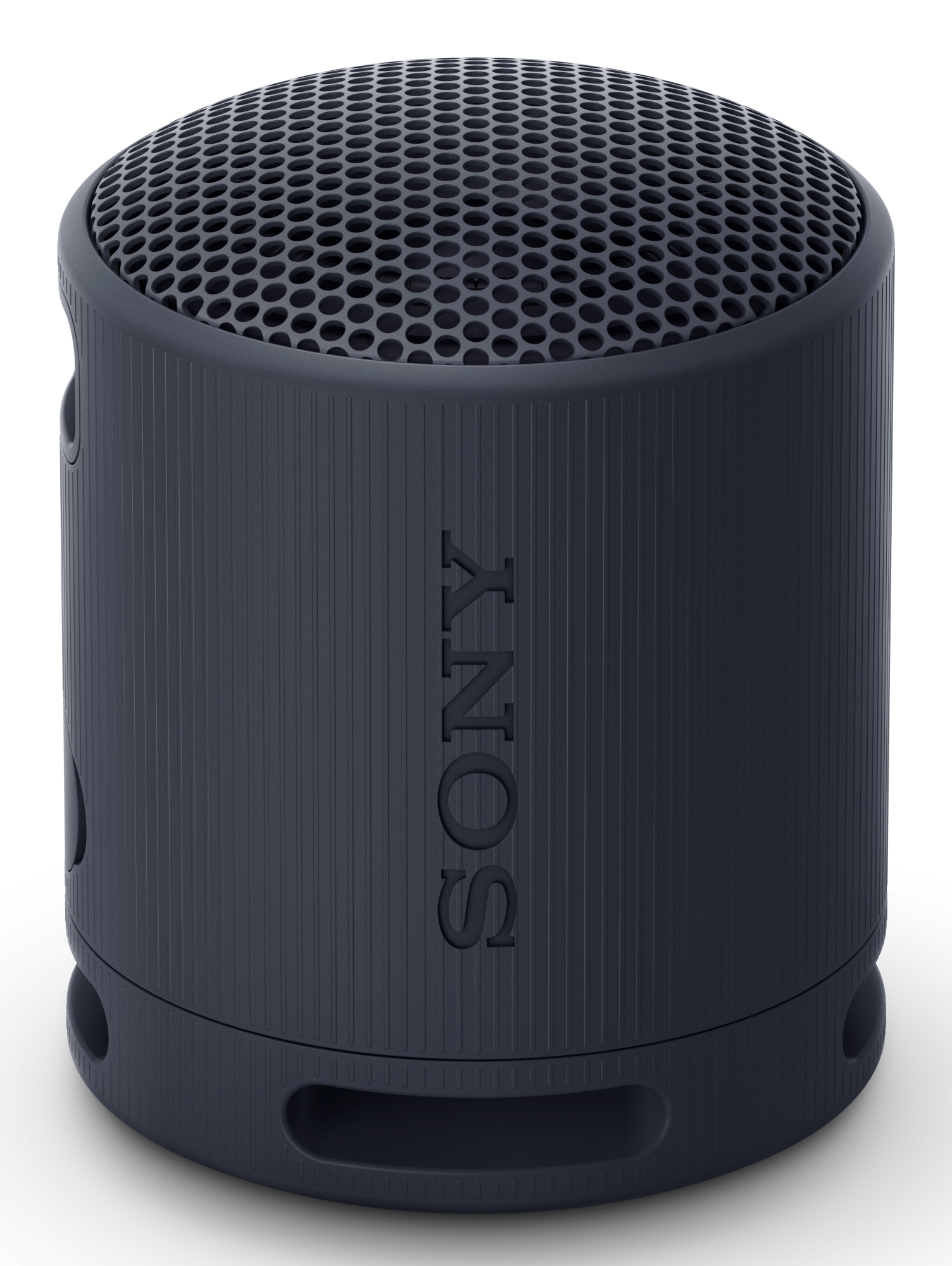 SRS-XB100 Altavoz monofónico portátil Negro
