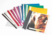 CLEAR VIEW FOLDER 2570 A4 archivador Blanco
