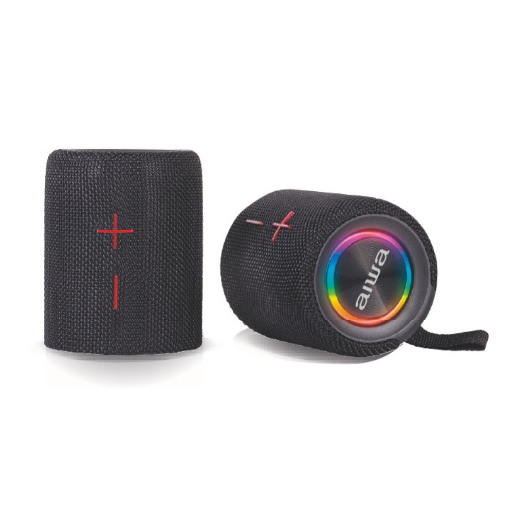 BST-250 altavoz portátil o de fiesta Altavoz portátil estéreo Negro 20 W