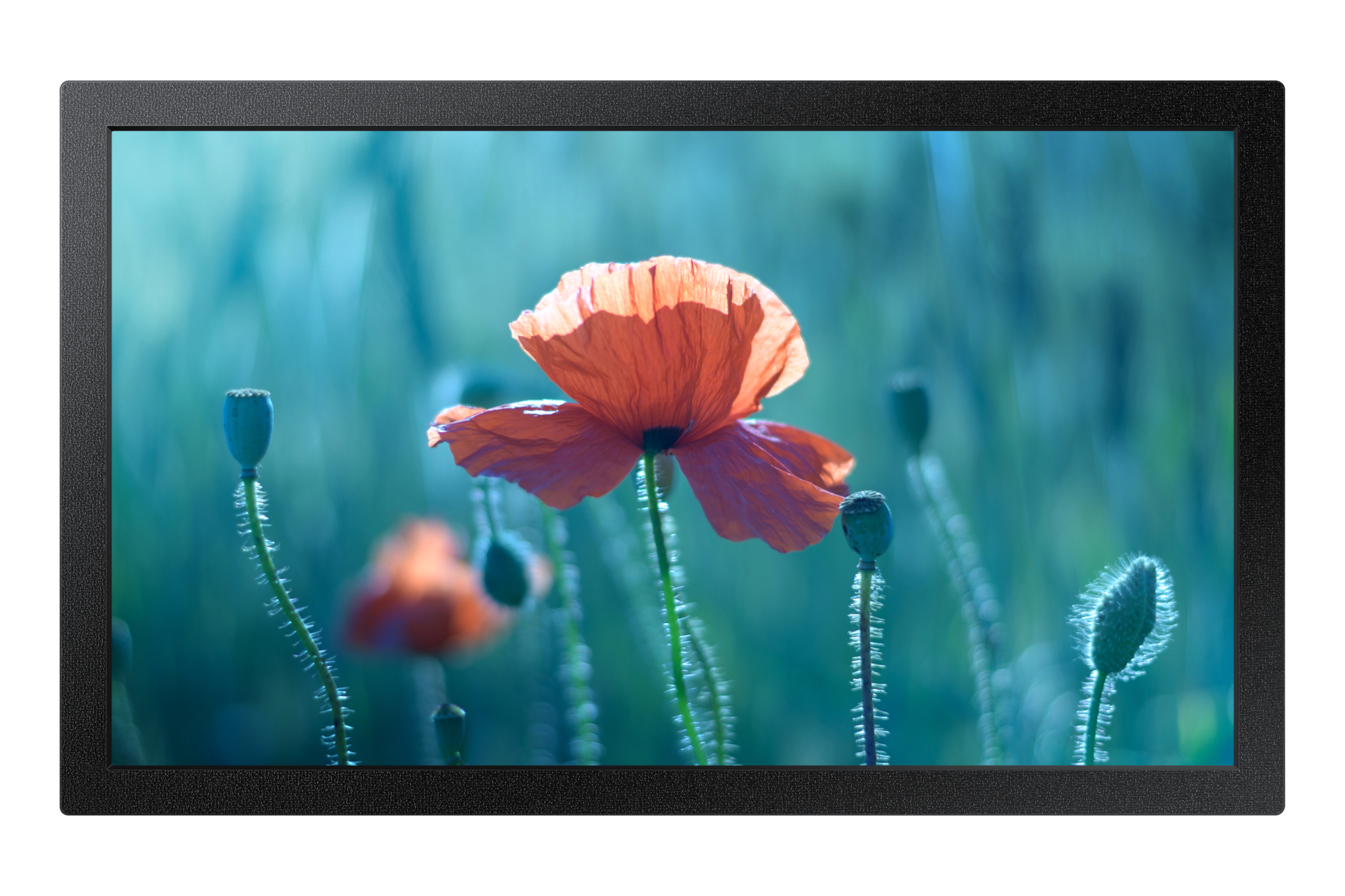 QB13C 33 cm (13") LCD Wifi 500 cd / m² Full HD Negro 16/7