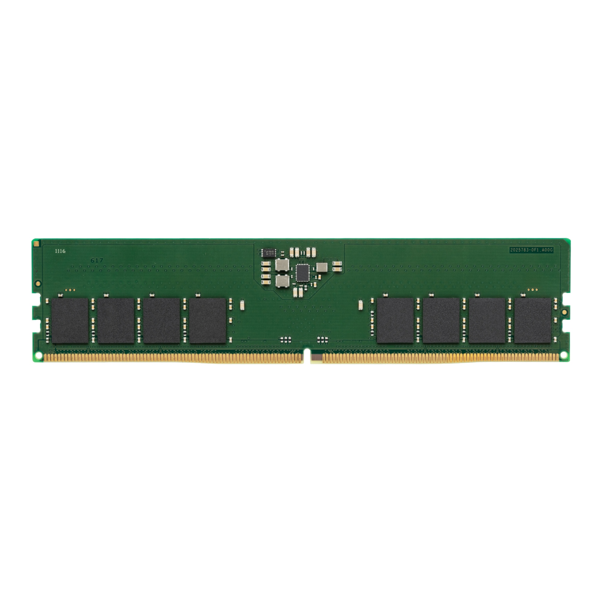 KCP556US8-16 módulo de memoria 16 GB 1 x 16 GB DDR5 5600 MT/s 288-pin DIMM