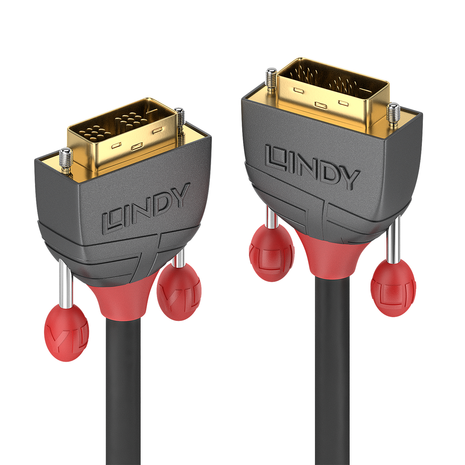 36240 cable DVI 10 m DVI-D Negro