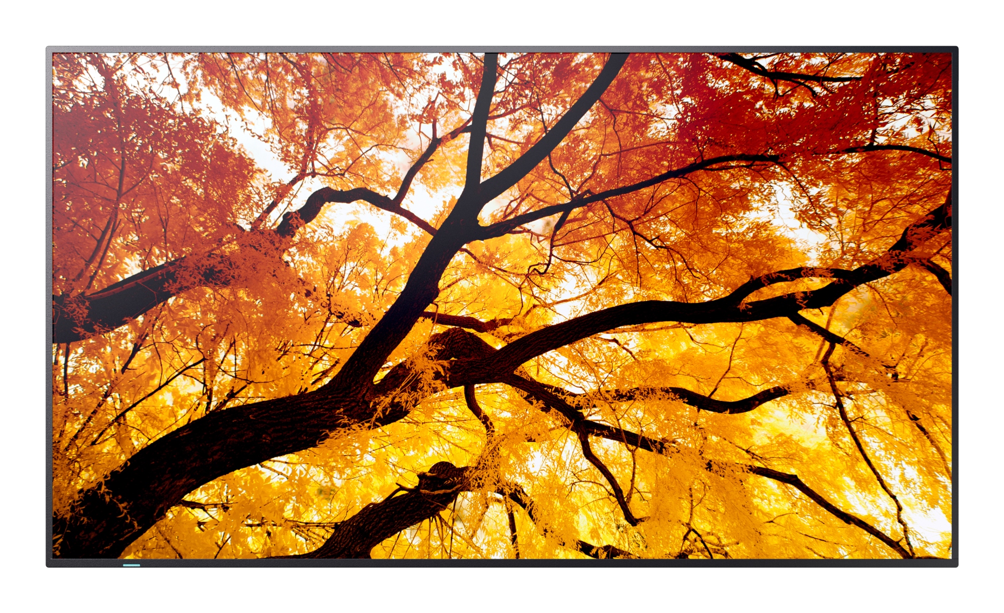 MultiSync M432 Pantalla plana para señalización digital 108 cm (42.5") LCD 550 cd / m² 4K Ultra HD Negro