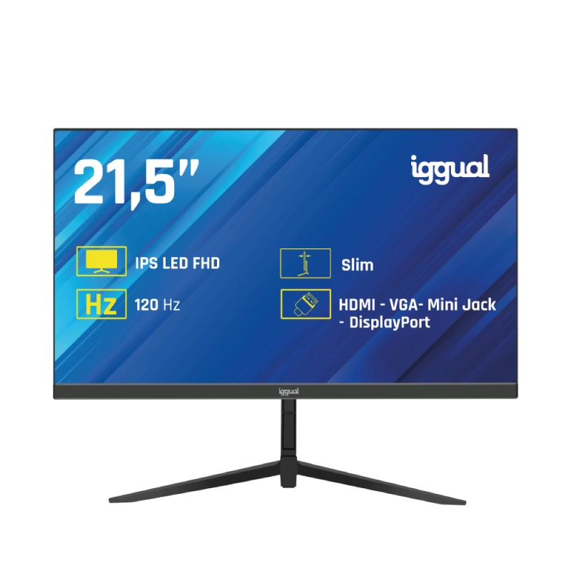 Monitor 21,5" IPS 1ms FHD 120Hz VGA HDMI DP