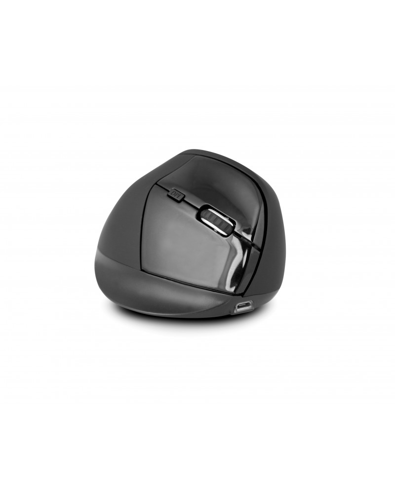 Ergo PRO ratón Oficina mano derecha RF inalámbrico Óptico 2400 DPI