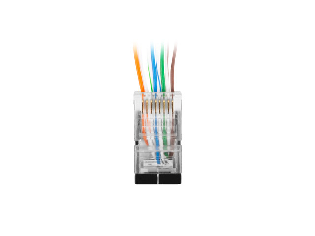 PLS-6020EZ conector RJ45 Transparente