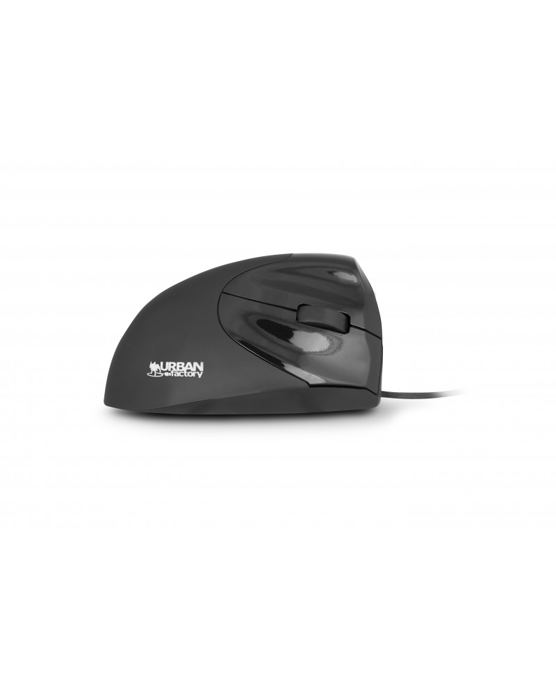 Ergo ratón Oficina mano derecha USB tipo A Óptico 2400 DPI