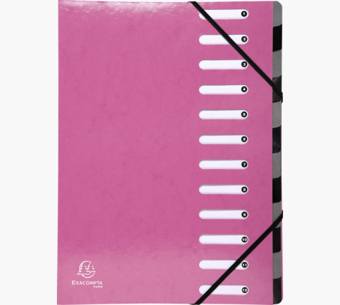 53928E lengüeta de índice Carpeta convencional Caja de cartón Rosa