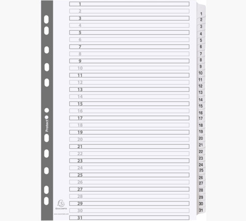 MWD1-31Z divisor Caja de cartón Blanco
