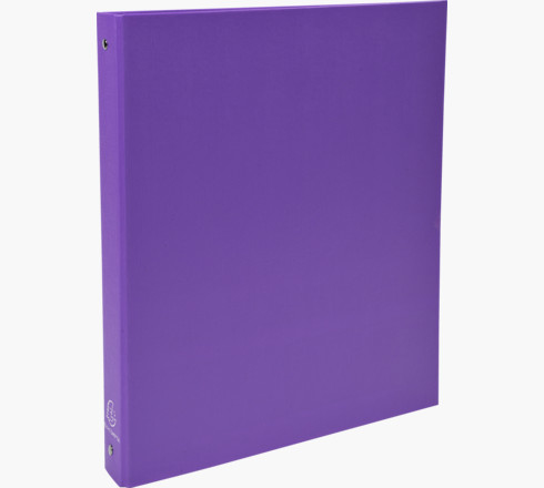 51376E carpeta de cartón A4 Violeta