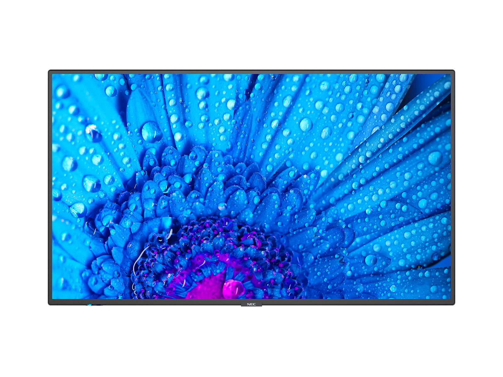 MultiSync M491 Pantalla plana para señalización digital 124,5 cm (49") IPS 500 cd / m² 4K Ultra HD Negro 24/7