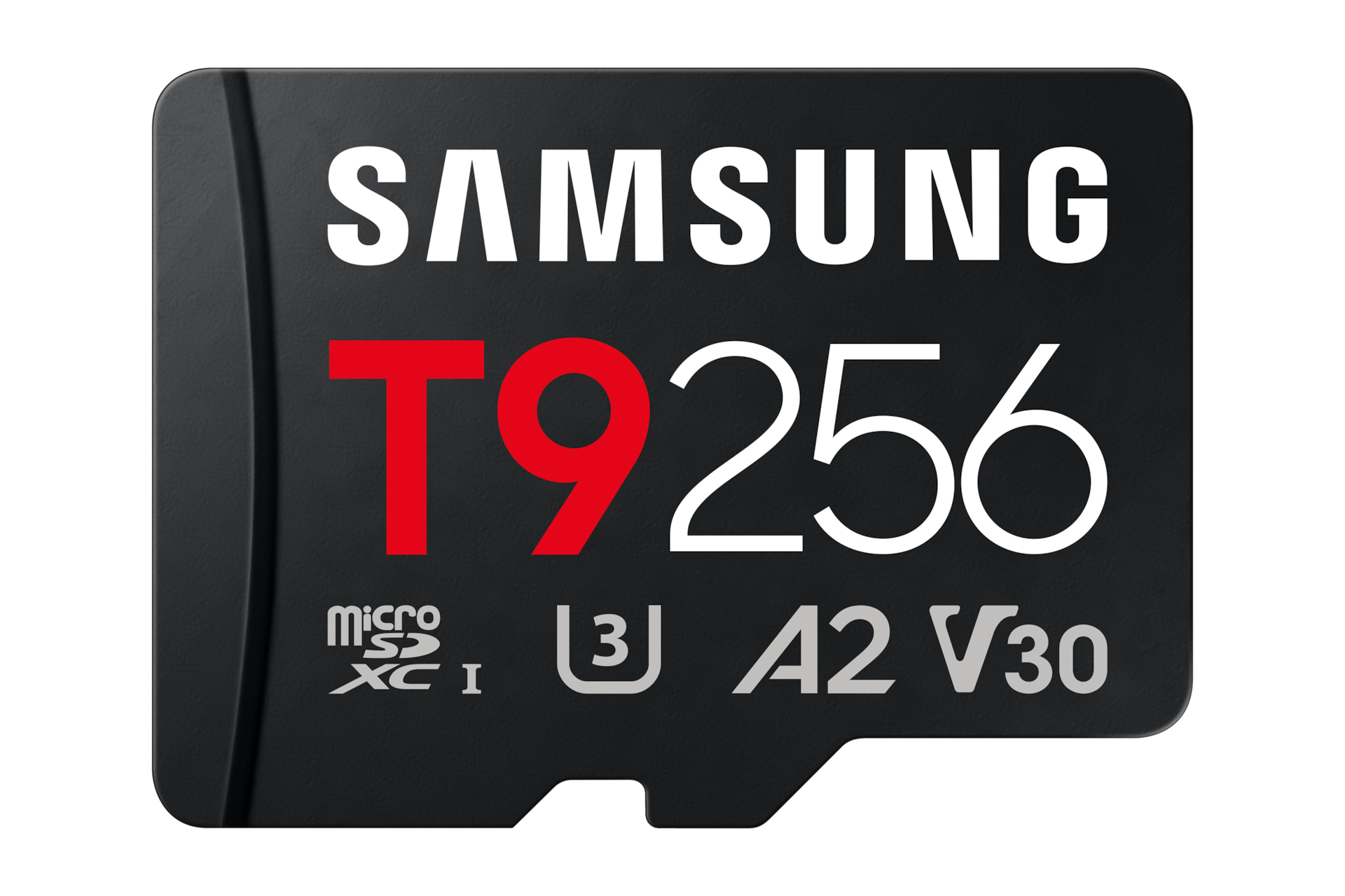 MB-MH256T/WW memoria flash 256 GB MicroSDXC UHS-I