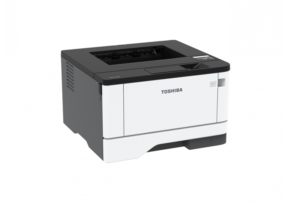 409P 600 x 600 DPI A4