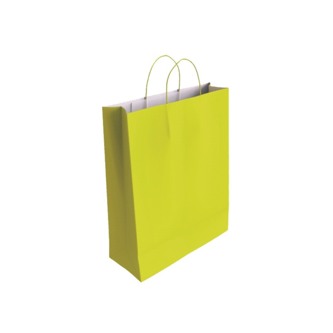 329823 bolsa de papel Verde