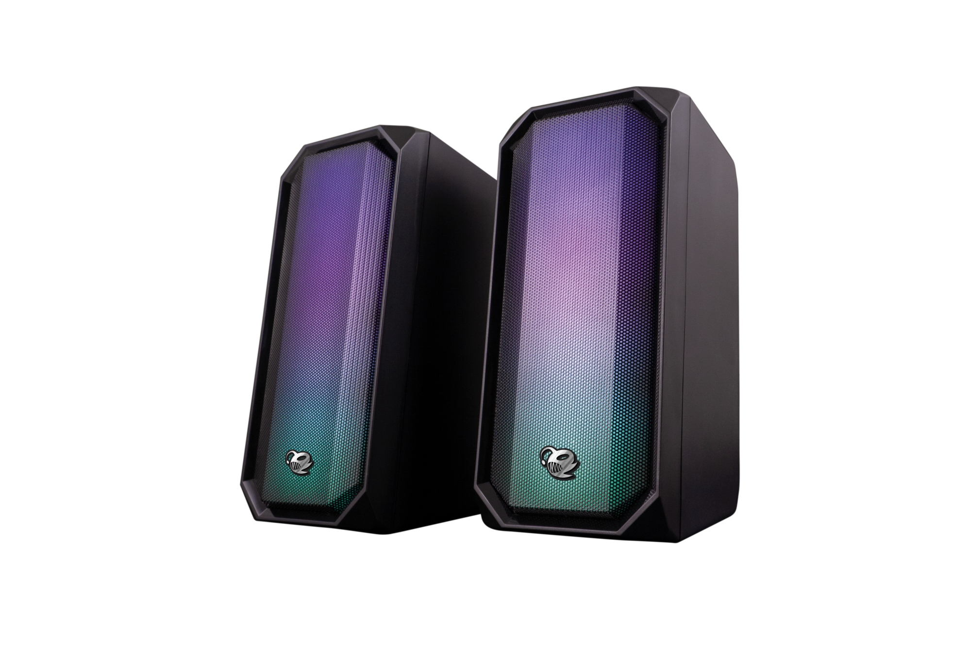 R205 Negro Inalámbrico y alámbrico 3 W