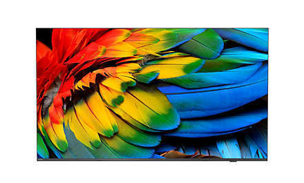 65HFL6214U/12 Televisor 165,1 cm (65") 4K Ultra HD Wifi Antracita 400 cd / m²