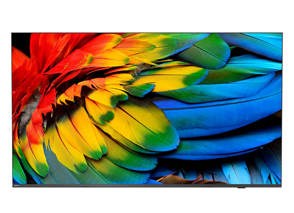 75HFL6214U 190,5 cm (75") 4K Ultra HD Smart TV Wifi Antracita 400 cd / m²